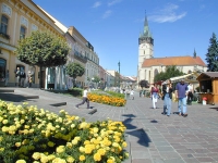 У Словаччині відкрився український культурний центр